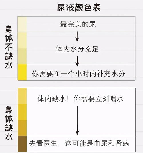 喝水少的孩子,和喝水多的孩子身体会有什么差别 喝对水很重要