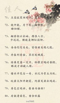 关于春节的诗句100句