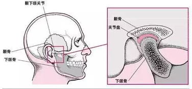 下巴也会 生锈 