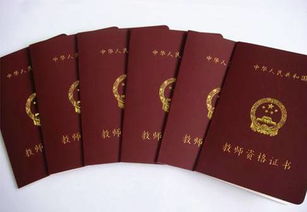 上海市教师资格证书：通往教育之路的金色通行证 