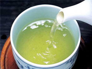 胃不好的人能喝绿茶吗