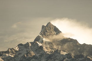 黄山，中国的五大名山之一，以其险峻的山峰、秀美的自然风光和深厚的文化底蕴吸引着无数游客。我有幸亲自体验了爬黄山的乐趣，现在将为大家分享我的黄山之旅。，爬黄山作文400字四年级