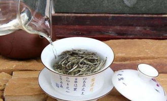 福鼎白茶怎么喝才正确方法,白茶冲泡法？