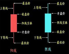 黄金k线图基础知识