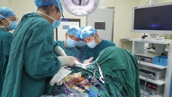 妇科微创手术 妇科微创手术有哪些类型