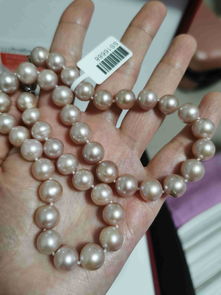 看看这卡10的淡水紫珍珠，大概值多少钱，谁知道？