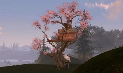 樱花树的故事,樱花树下，那段被岁月掩藏的秘密与浪漫