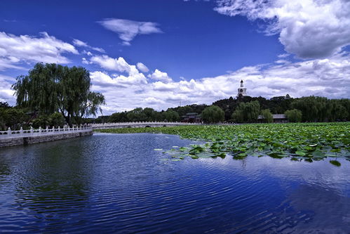 揭秘北海公园：历史与现代的完美融合，你不可错过的京城秘境！