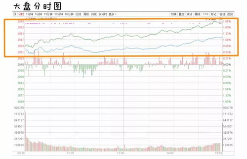 你好，我们这个店一共有60万的股份，其中有20是我的，那我占了多少股份呢，