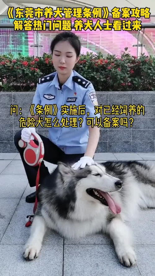 3 东莞市养犬管理条例对已经饲养的危险犬怎么处理 