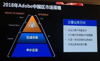 中国人为什么不愿意购买正版软件(中国人为什么不愿意购买正版软件的原因)