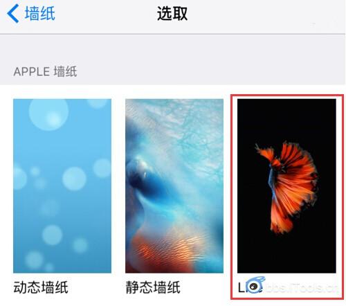 iPhone6s怎么设置动态墙纸,不是live点压的那种墙纸,也不是手机自带的动态墙纸 