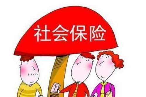 社保 到底有什么用处呢