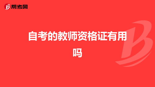 自考去哪里可以看免费的视频 (哪个网站可以看自考视频)