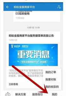 支付宝网商贷人员让你扫码开通网商贷是什么意思(pos机网商贷是什么意思)