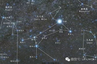 冬季大三角 从天狼星谈大犬座