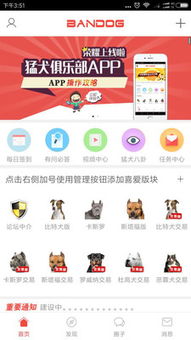 猛犬俱乐部最新app下载