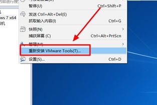 vmware克隆虚拟主机,vmware虚拟机怎么和本地主机直接复制粘贴文件