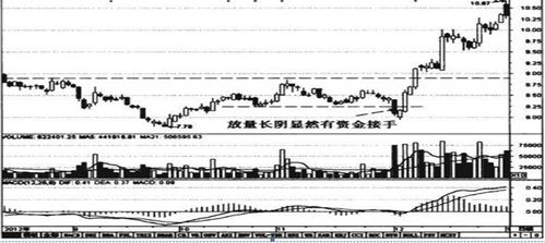 刚入门股票老是亏损怎么办？我该继续吗？