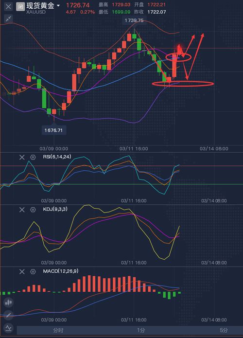 黄金原油行情分析软件,洞悉市场趋势的利器