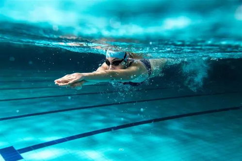 榆林游泳丨游泳是这五大疾病的克星