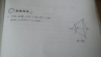 初中数学,相似三角形,证明题求解 