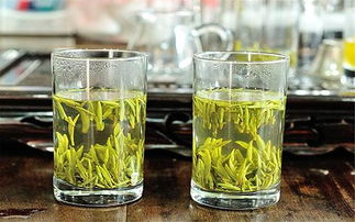 绿茶冲泡时是否需要洗茶 喝没洗的绿茶是不讲卫生吗