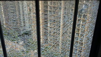 家里的窗户玻璃被人用手枪打破了,这个是物业负责吗 