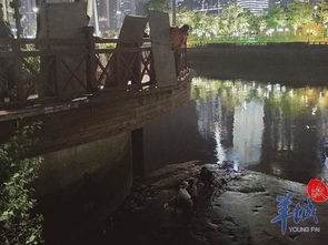 3名年轻人不慎被困珠江淤泥中越陷越深,军警民三方合力营救