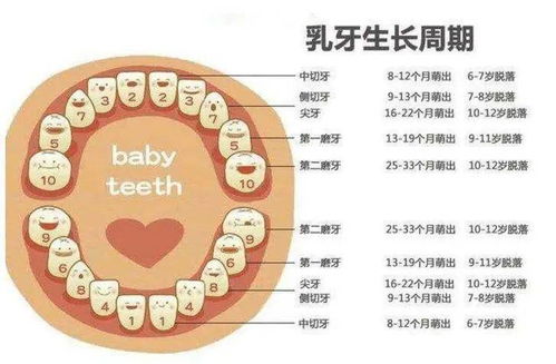 连续多年十堰唯一 12月5日前免费约