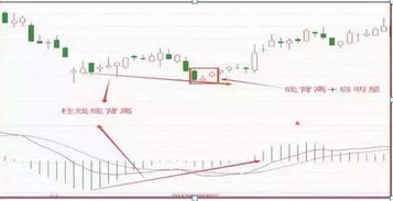如何理解macd顶背离与底背离