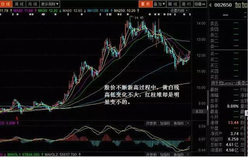 求教高手，有没有什么方法可以把股票的数据下载到本地数据库？