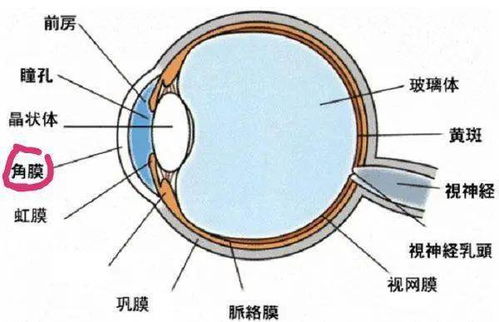 好运爆棚 北海一男子中551万元双色球头奖