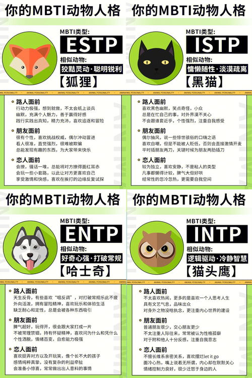 你的MBTI动物人格是什么 