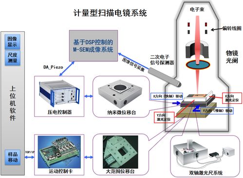 查重机制的工作原理与应用