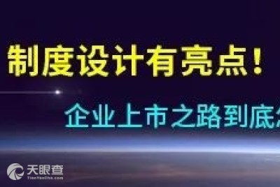 武汉大政科技有限责任公司及其分公司，怎么样？