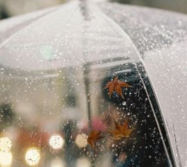 下雨天的心情说说 关于雨的说说大全