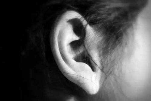 耳鸣并非小问题 学会两招打通耳脉,缓解耳鸣 预防耳病