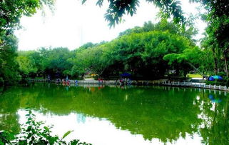 周末去深圳人民公园游玩攻略 
