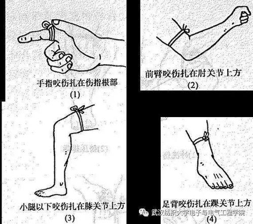 大理 蛇出没, 蓝朋友 开启 捕蛇 模式