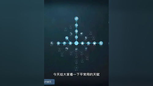 分享一下我平常人类用的天赋 第五人格 天赋 第五人格夏日演绎 