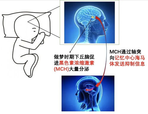 做梦下大雨是什么兆头