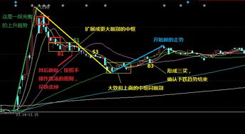 狗币行情走势图分析表,doge是什么币种？