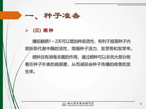 论文查重发起人揭秘：引领学术诚信新风尚