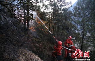 森林旅游景区野外火源管控实施方案