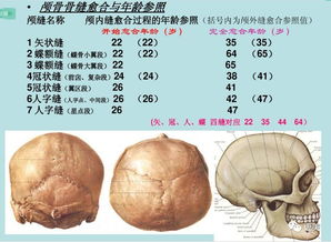 蔡依林为瘦脸去做 日式整骨 ,不到1w块就从方脸变V脸