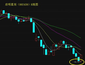 看看启明星辰业绩亏损玩命涨，股票涨和业绩有关吗