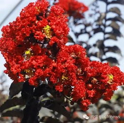 植物园能干什么,该干什么 