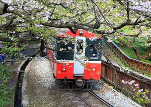 台湾嘉义嘉义阿里山