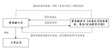 股票质押一项在哪里能看见